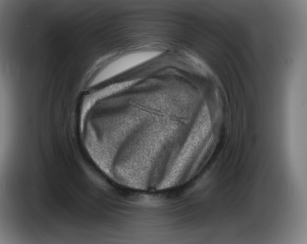 X0000085290442200703301941