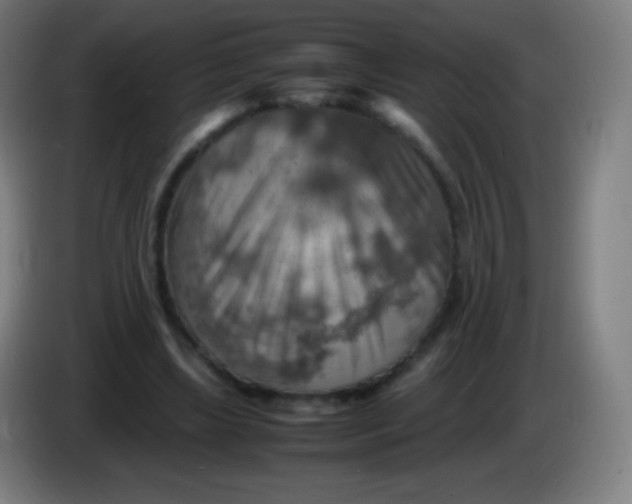 X0000085290443200703301941