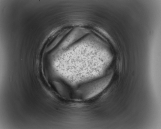 X0000085290444200703301941