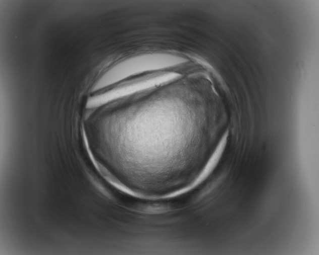 X0000085290445200703301941