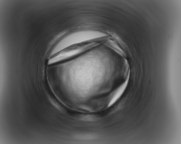 X0000085290446200703301941
