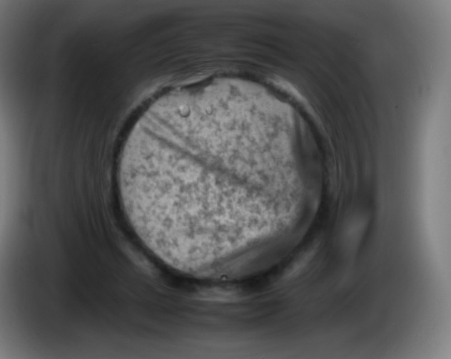 X0000085290447200703301941