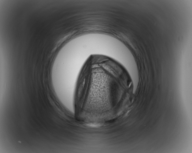X0000085290448200703301941