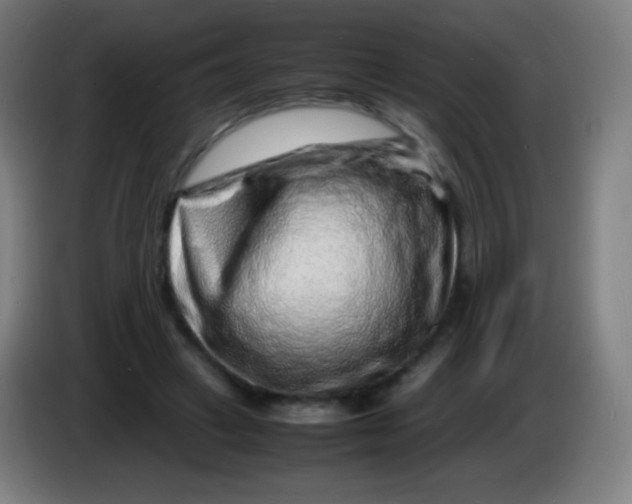 X0000085290449200703301941