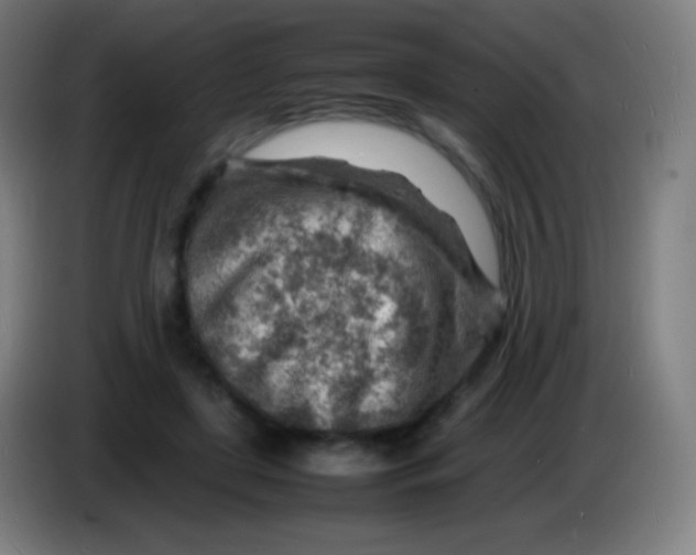 X0000085290451200703301941