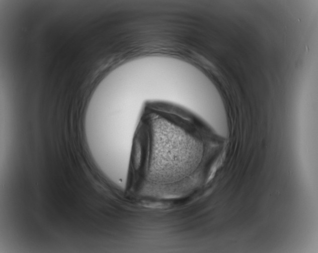 X0000085290452200703301941