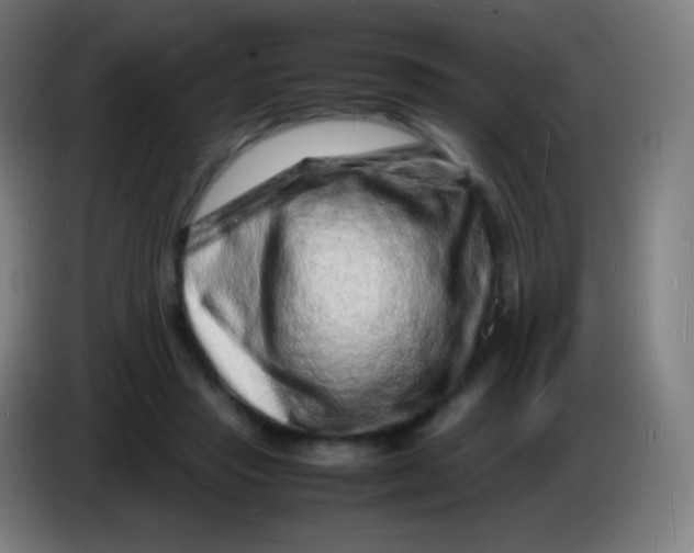 X0000085290453200703301942