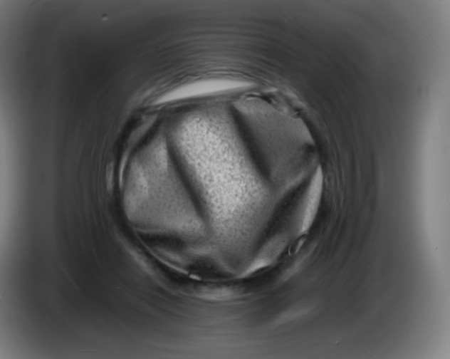X0000085290454200703301942