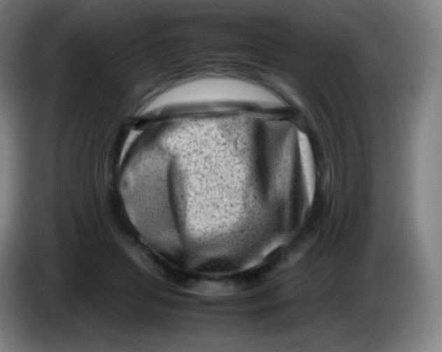 X0000085290455200703301942