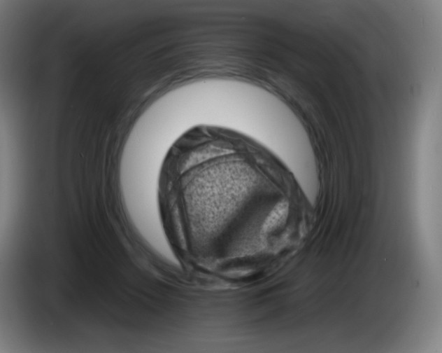 X0000085290456200703301942