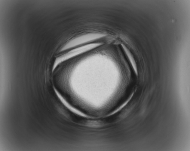 X0000085290457200703301942