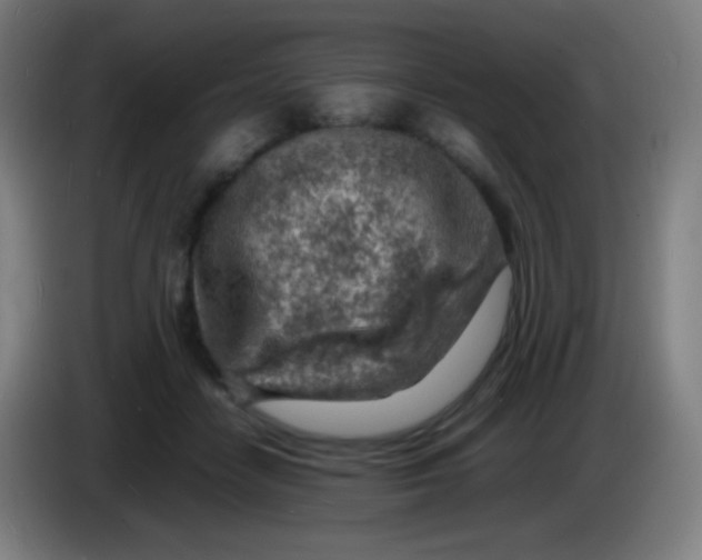 X0000085290458200703301942