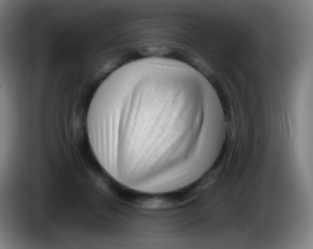 X0000085290460200703301942