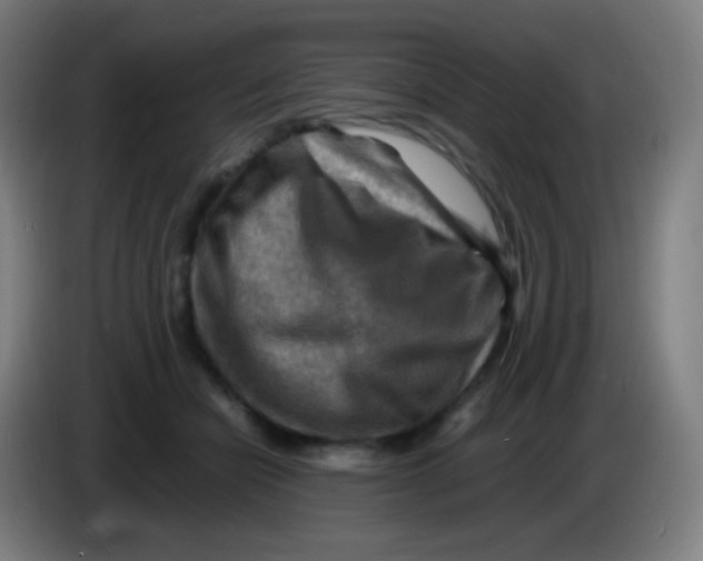 X0000085290462200703301942