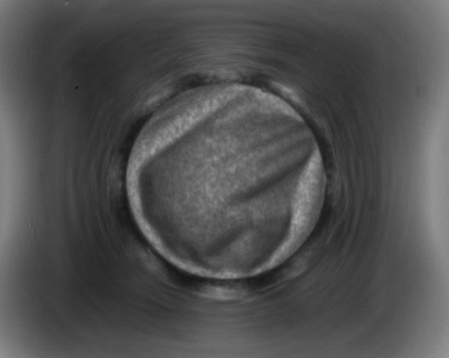 X0000085290466200703301942