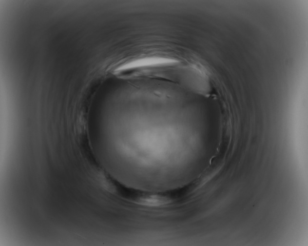 X0000085290467200703301942