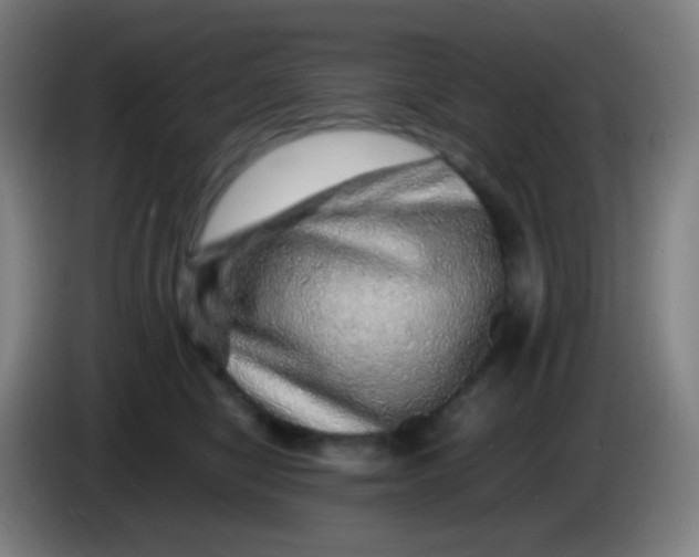 X0000085290470200703301942