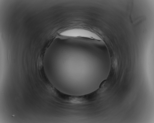 X0000085290471200703301942