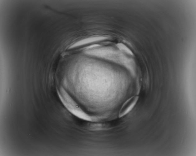 X0000085290473200703301942