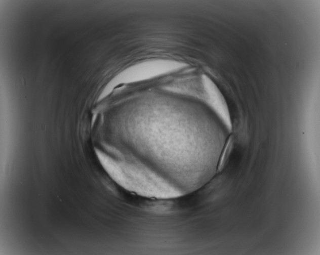 X0000085290474200703301942