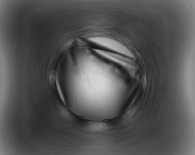 X0000085290476200703301942