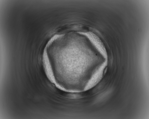 X0000085290477200703301942