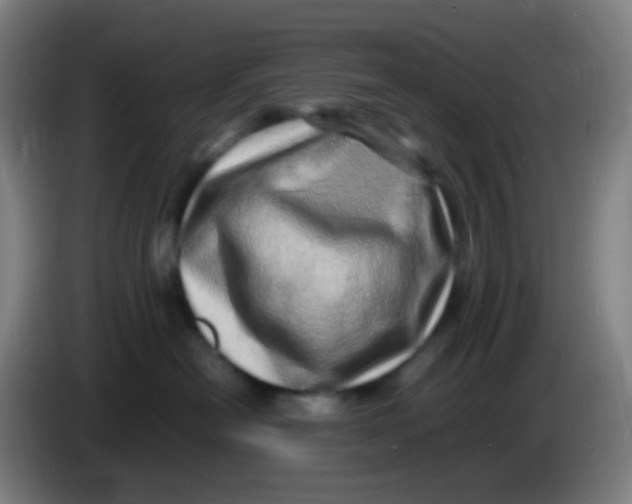 X0000085290478200703301942
