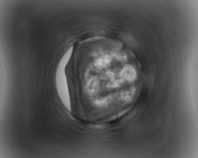 X0000085290479200703301942