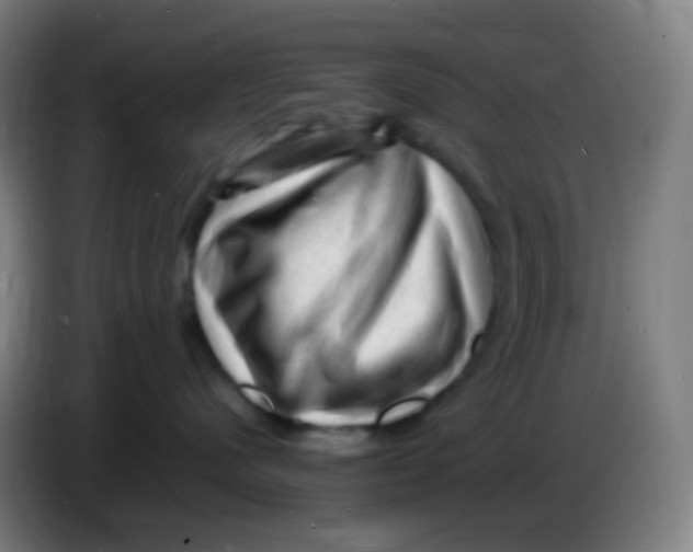 X0000085290480200703301942