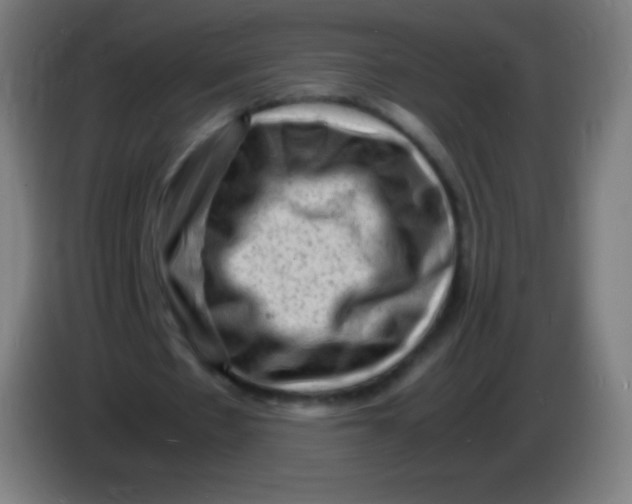 X0000085290481200703301941