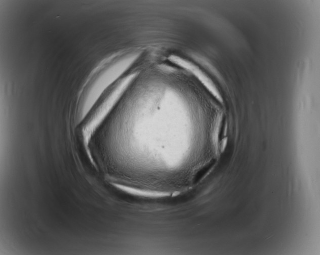 X0000085290483200703301941