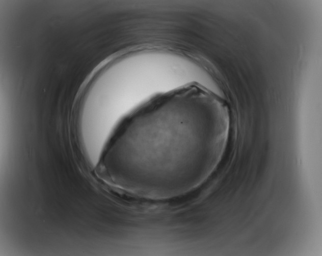 X0000085290484200703301941