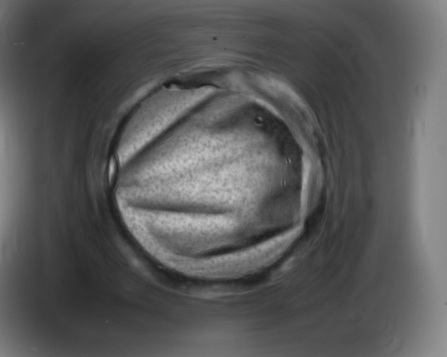 X0000085290485200703301941
