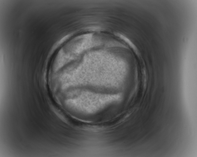 X0000085290486200703301941