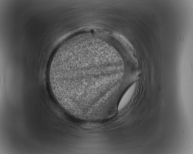 X0000085290487200703301941