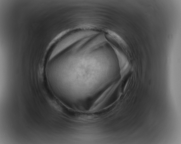 X0000085290488200703301941