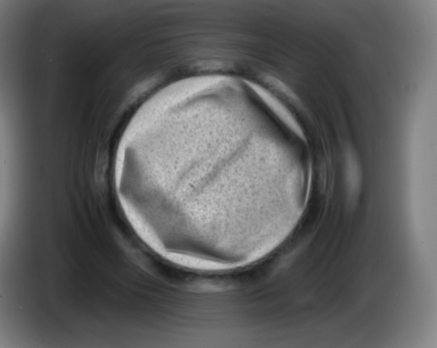 X0000085290490200703301941