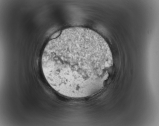 X0000085290491200703301941