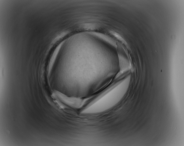 X0000085290492200703301941