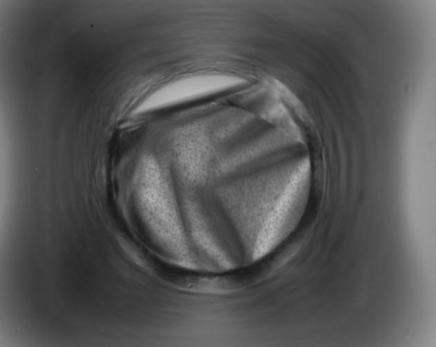 X0000085290493200703301941