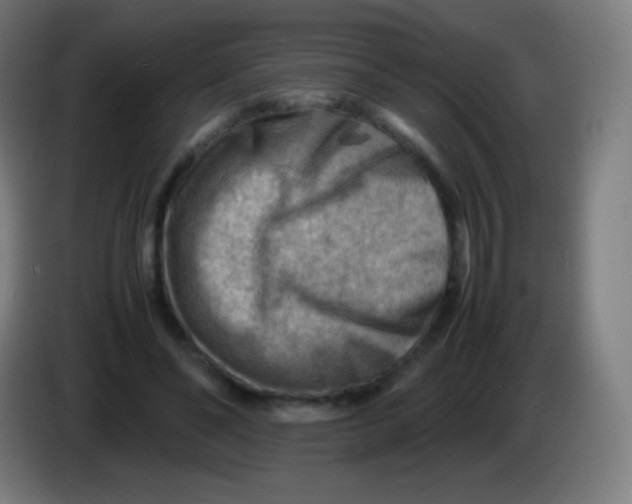 X0000085290494200703301941