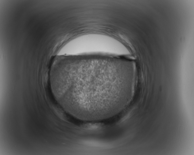 X0000085290495200703301941