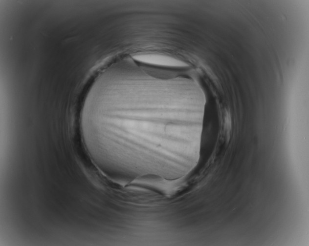 X0000085290496200703301941