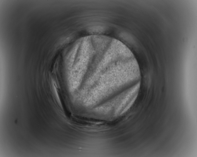 X0000085290498200703301941