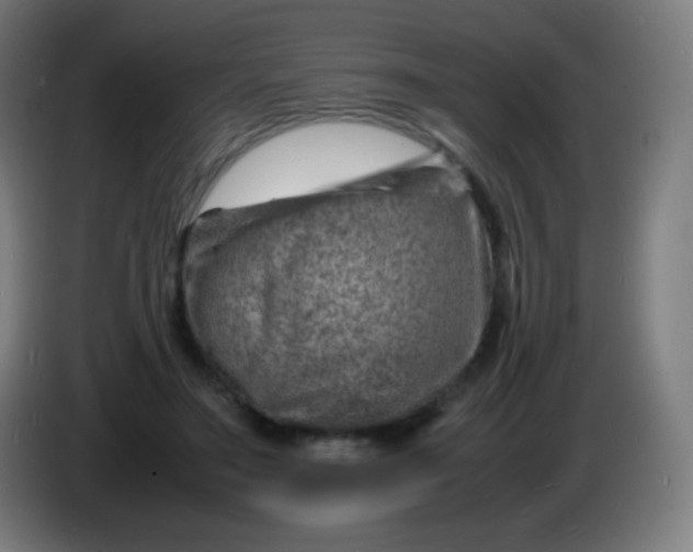 X0000085290499200703301941
