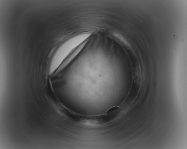 X0000085290500200703301941