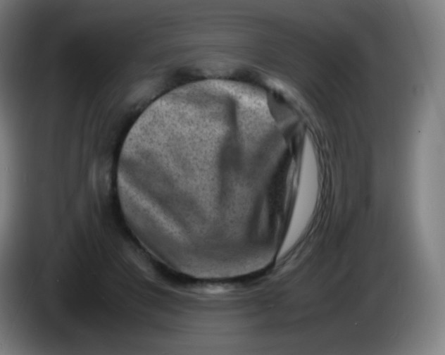 X0000085290501200703301941