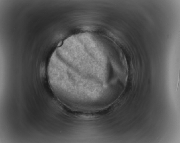 X0000085290502200703301941