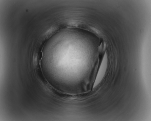X0000085290504200703301941