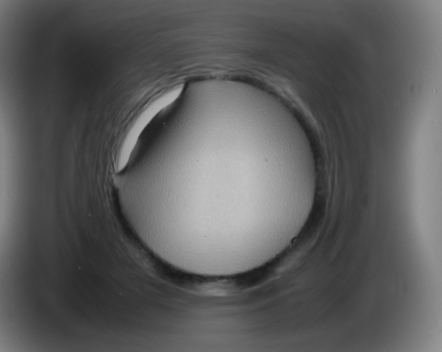 X0000085290505200703301941